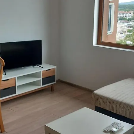 елскер * 사레보